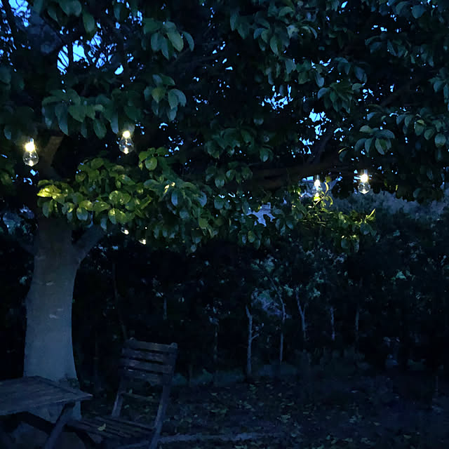 Kaeru-Mamaさんの部屋