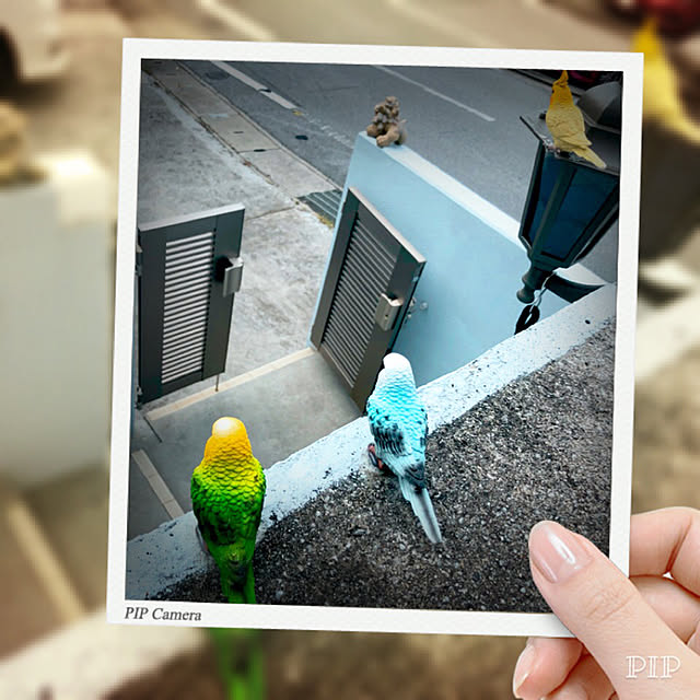 nacchi4さんの実例写真