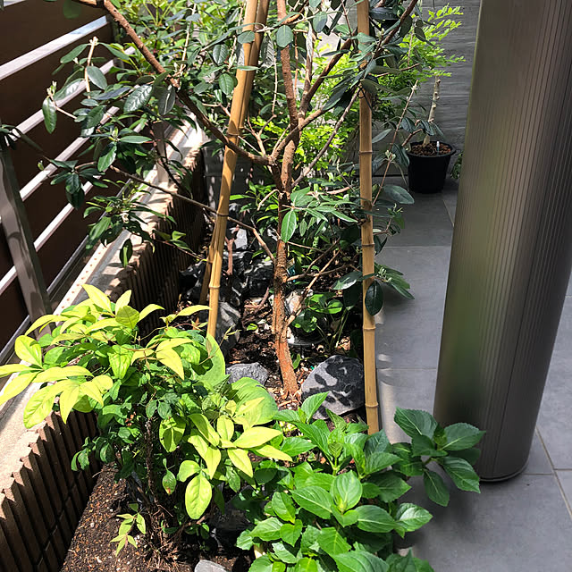 Rororiさんの部屋