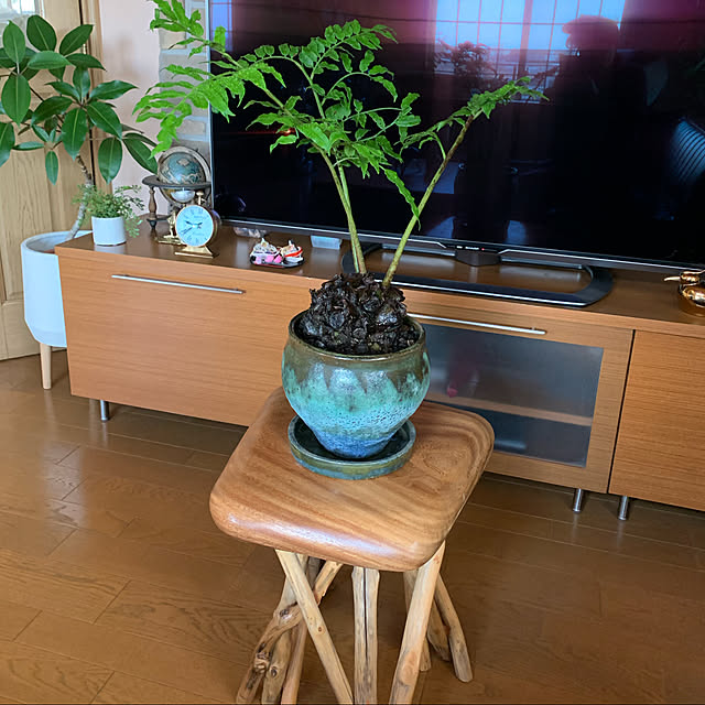 mama_sanさんの実例写真
