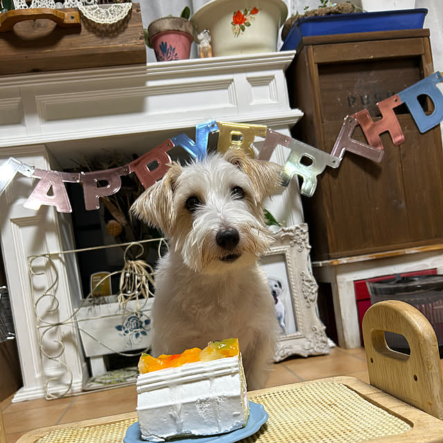 Fumiさんの実例写真