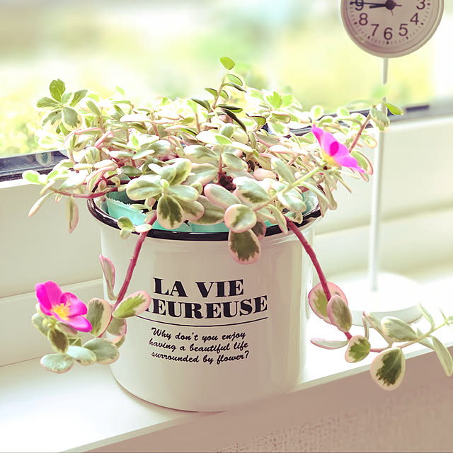 tmsさんの実例写真