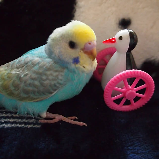 karinさんの実例写真