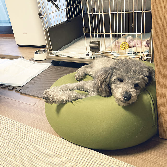 coochanさんの実例写真