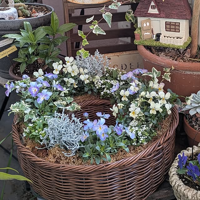 ichi.さんの部屋