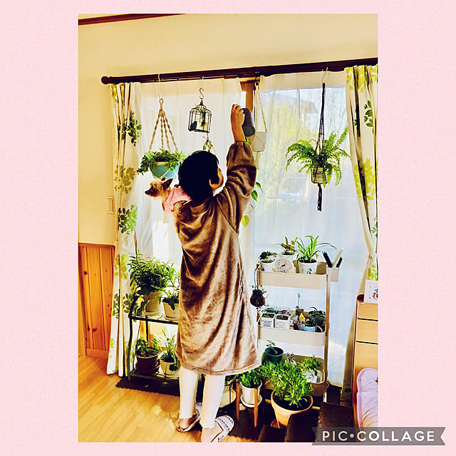CoCo0617さんの実例写真