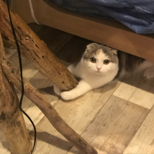 runtenさんの実例写真