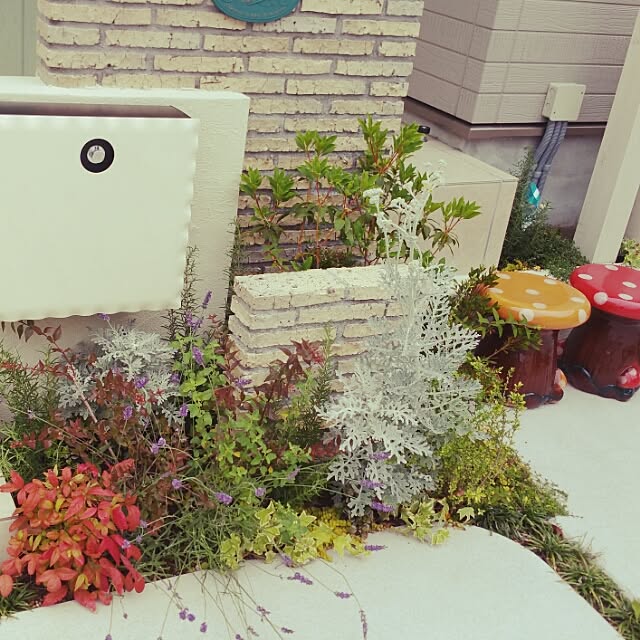 Nanaさんの実例写真