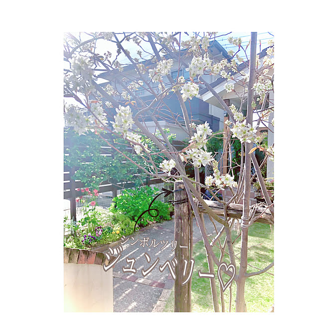 hinamamaさんの部屋