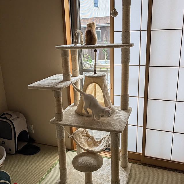 emyさんの実例写真