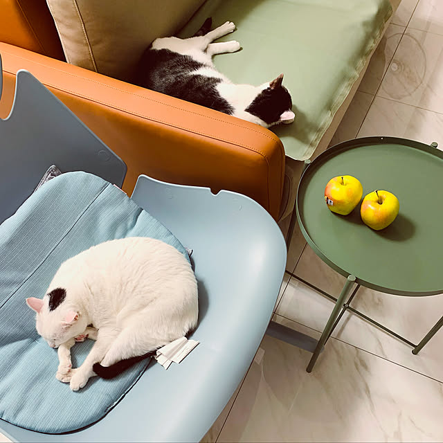 pcu110さんの実例写真