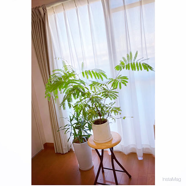 HALさんの実例写真