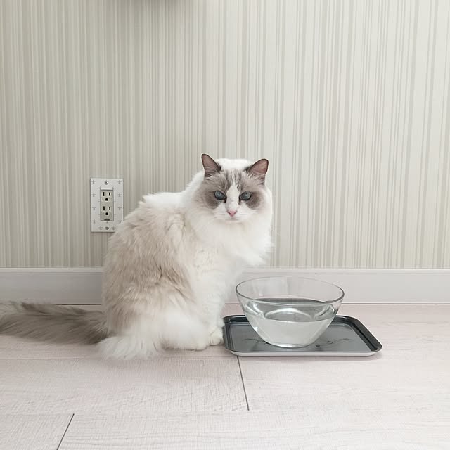 yuchiさんの実例写真