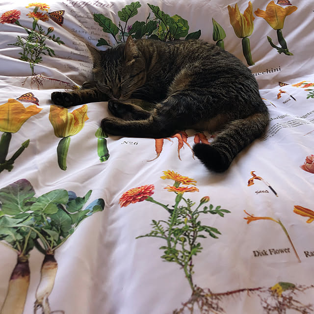 weさんの実例写真