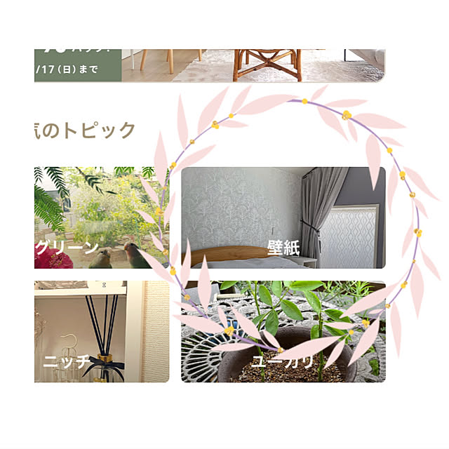 75さんの実例写真