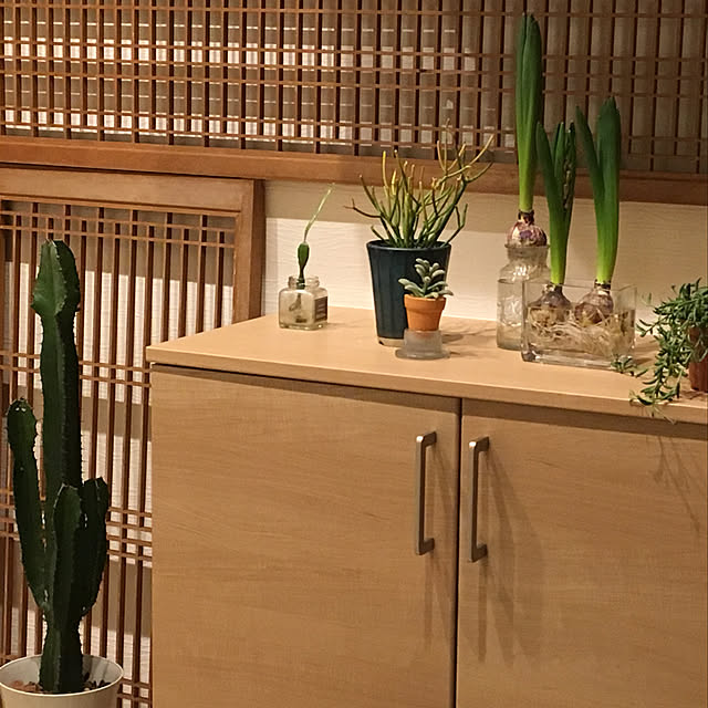 y.yoshimi4437さんの実例写真