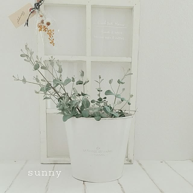 sunnyさんの実例写真