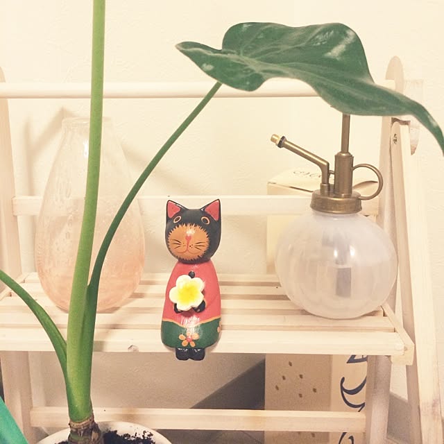 capellunaさんの実例写真