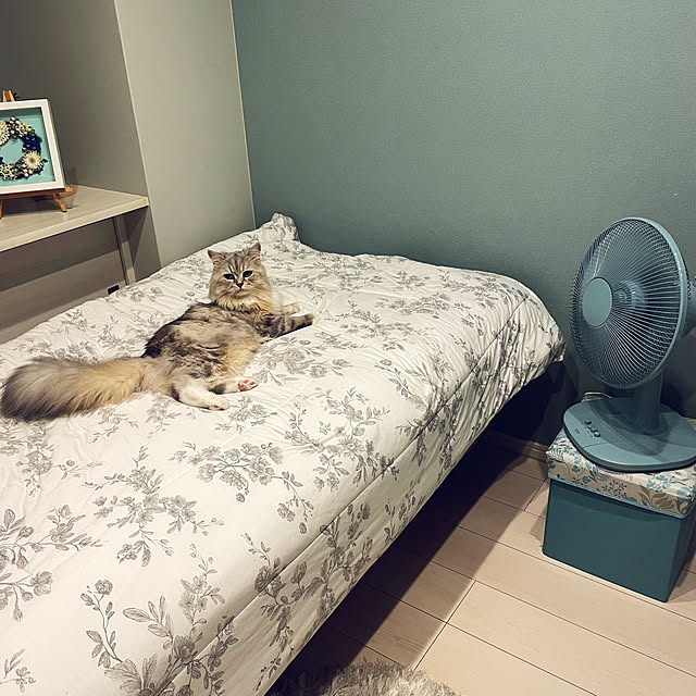 akimamさんの実例写真