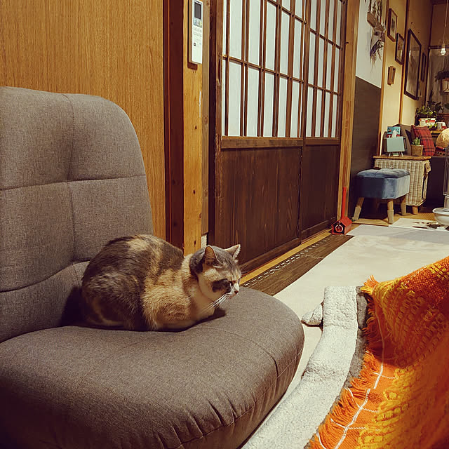 fukuさんの実例写真