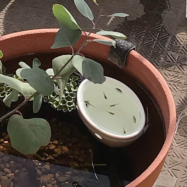 mi-saさんの実例写真