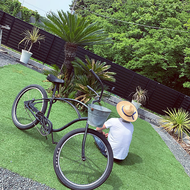 実例写真