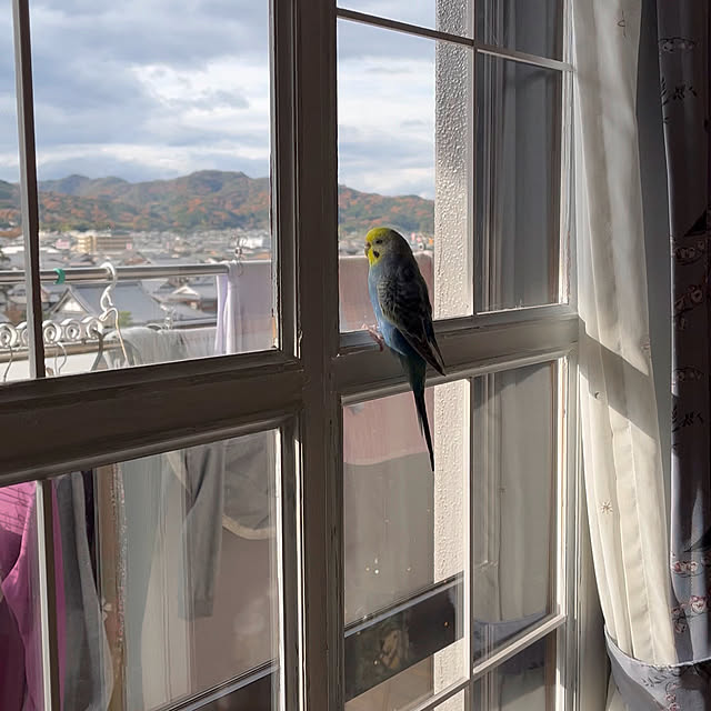 Atsukoさんの部屋