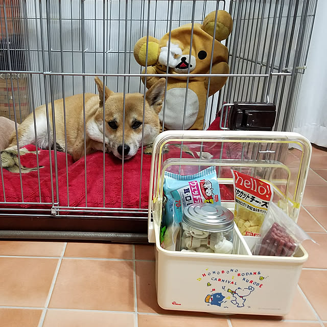 nanaさんの実例写真