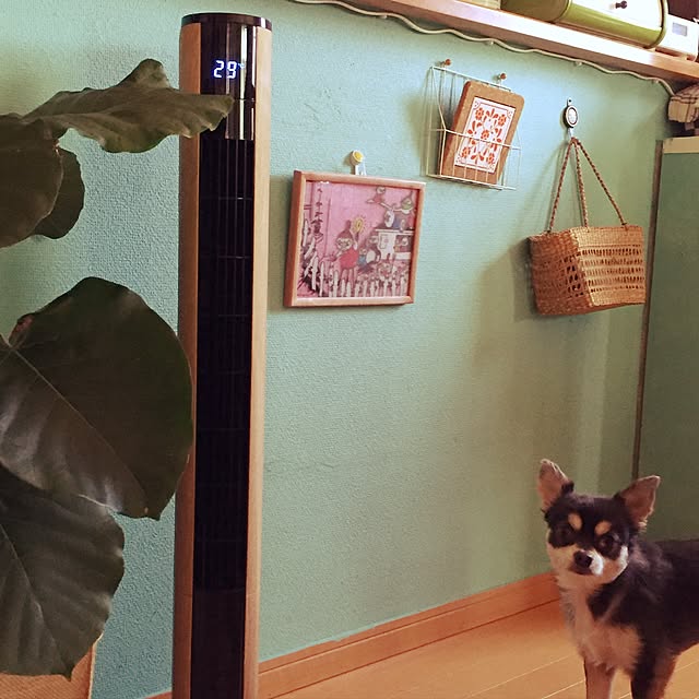 nagomingさんの実例写真