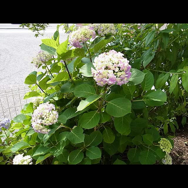 yukappeさんの実例写真