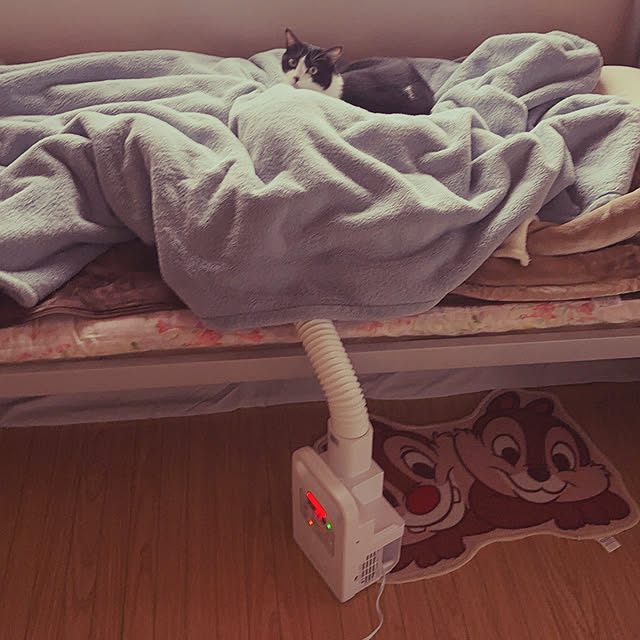 nanohanaさんの実例写真