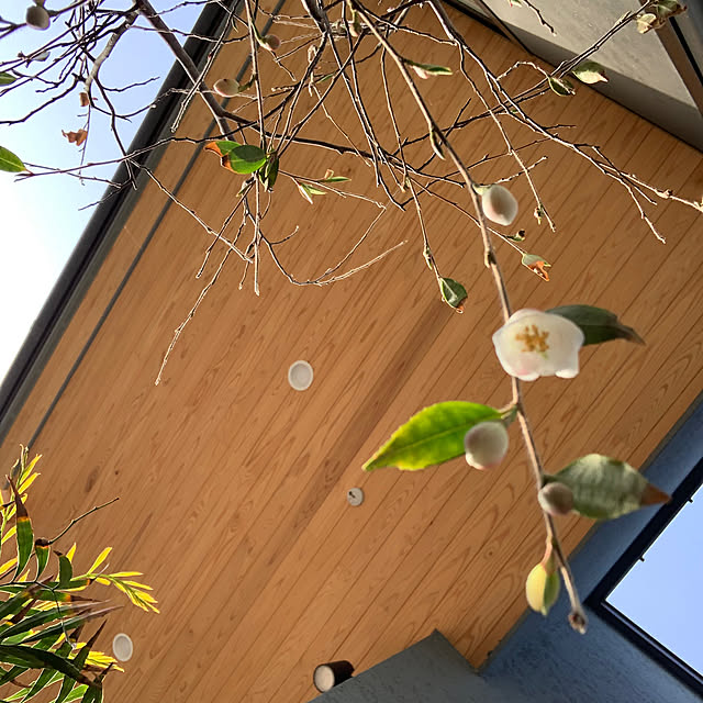h_home.hさんの実例写真