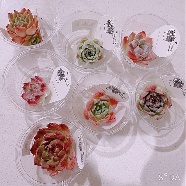 canmilmamaさんの実例写真