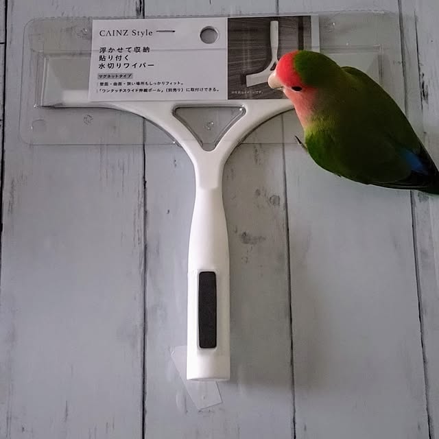 toratanさんの実例写真