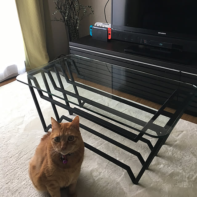 nonnokoさんの実例写真