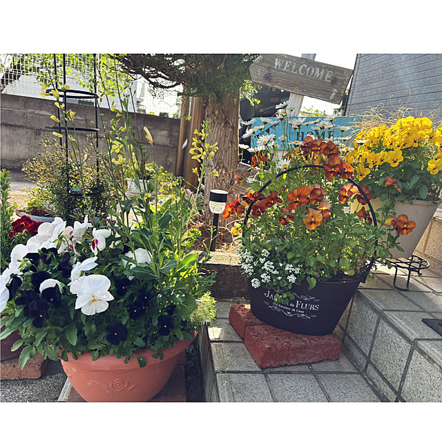CoCo0617さんの部屋
