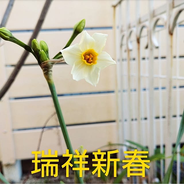 Bienvenueさんの実例写真