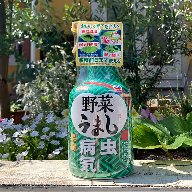 yurari.bonnさんの実例写真