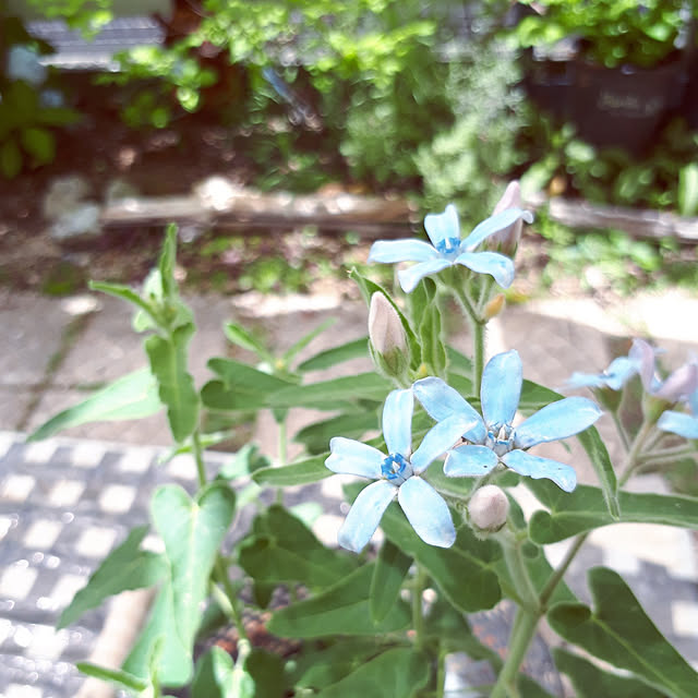 min_nimさんの実例写真