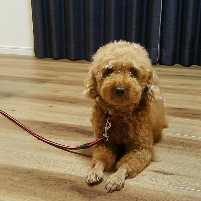 KENさんの実例写真