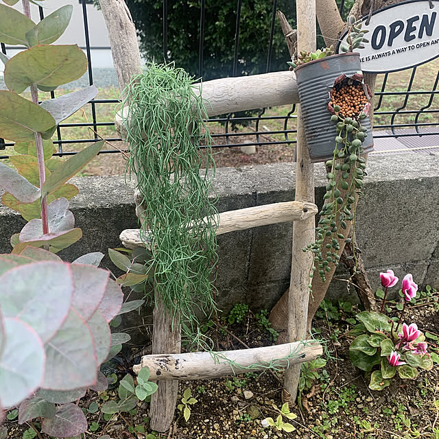 Fumiさんの実例写真