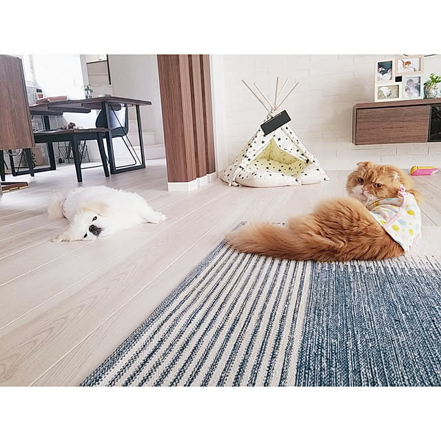 Arahimaさんの実例写真