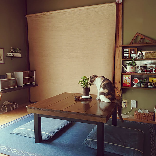 fukuさんの実例写真