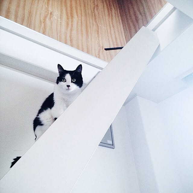 tocciさんの実例写真