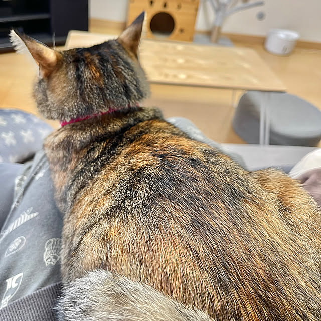 chiiさんの部屋