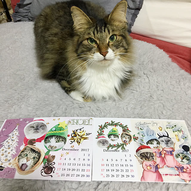 yuchiさんの実例写真