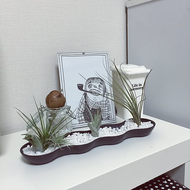 jojoさんの実例写真