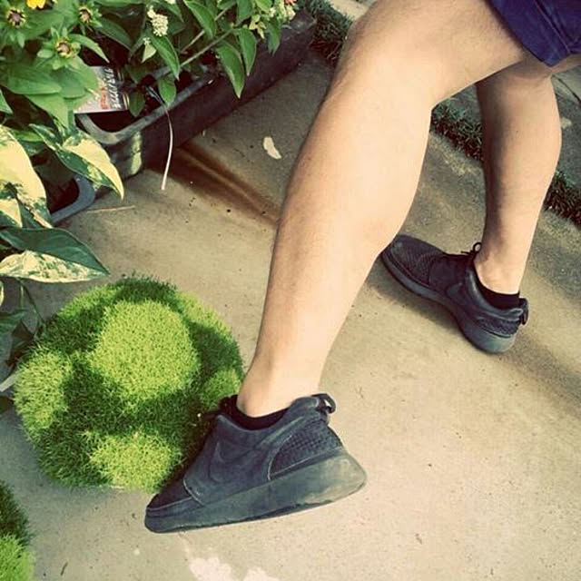 GreenWorksさんの実例写真
