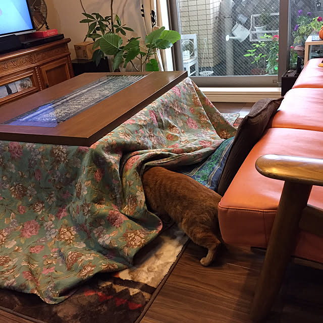 sleptcatさんの実例写真