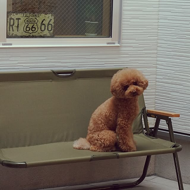 reiさんの実例写真